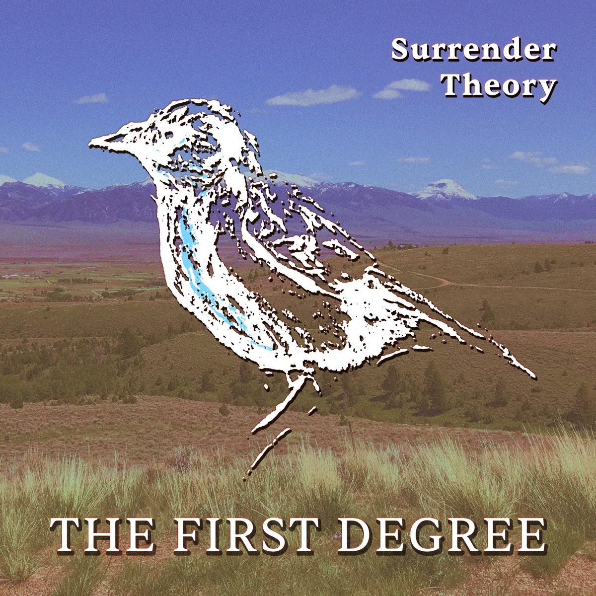 The First Degree